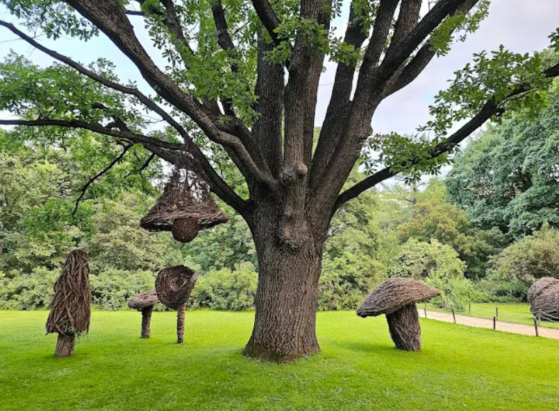 Apothecary Garden, Russia